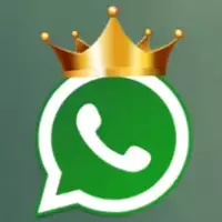 King WhatsApp APK Download (Official) Latest Version 2024